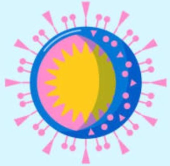 Coronavirus Icon web2.JPG