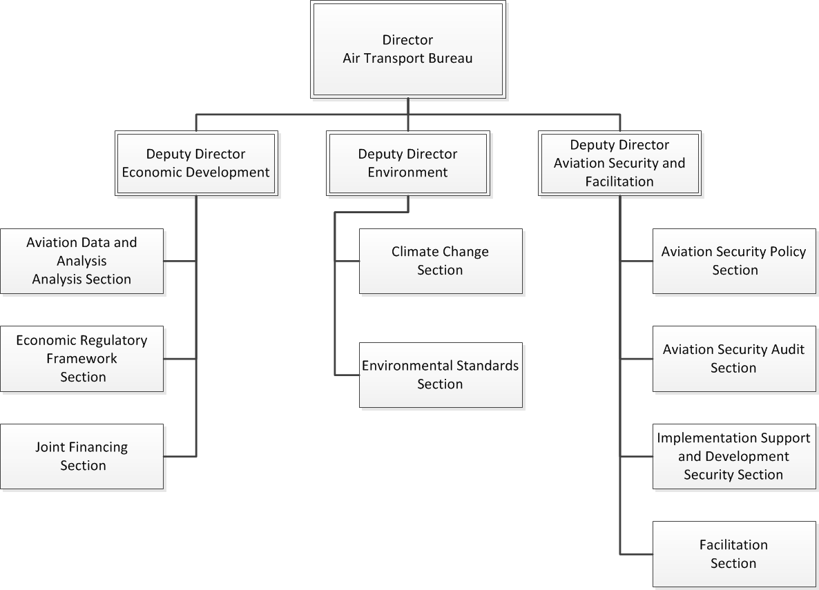 Icao Organization Chart