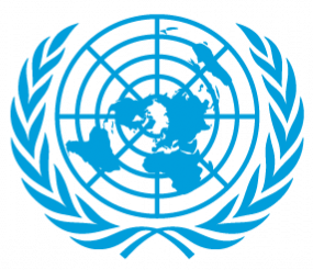 UN Icon