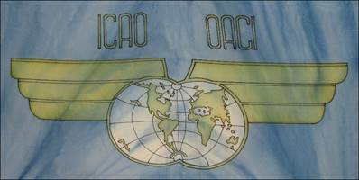 Early Flag - Enlarged center copy