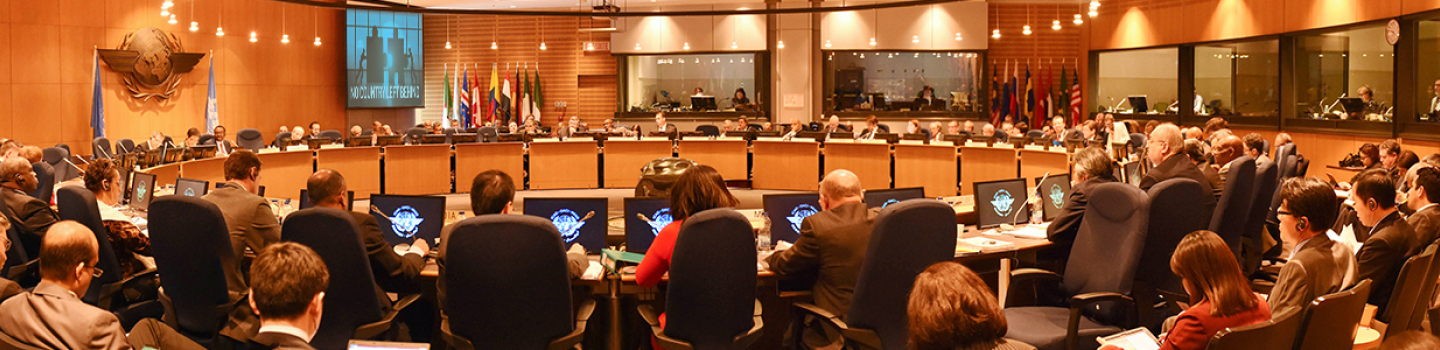 Annual Report Banner