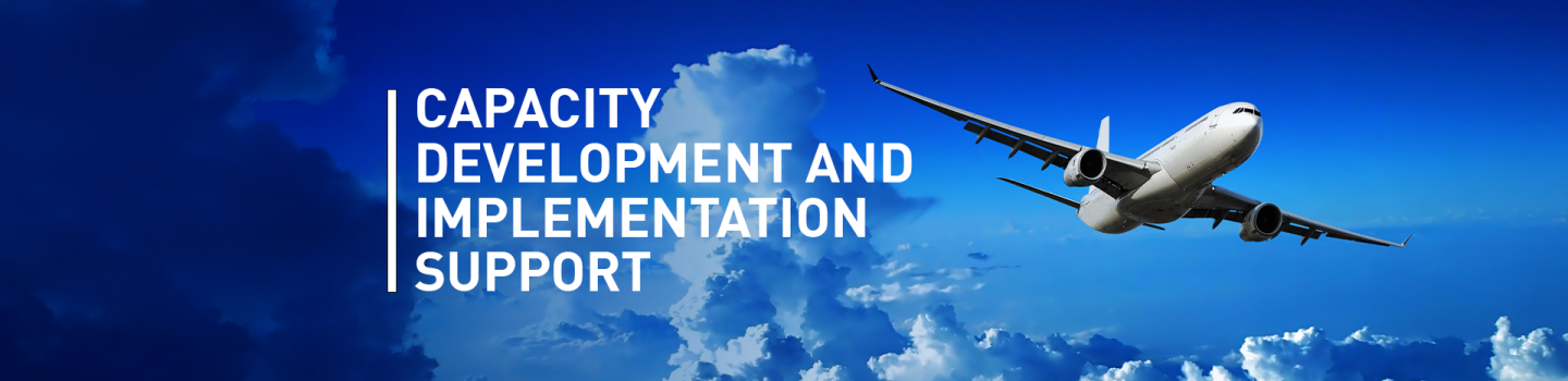 Capacity Development and Implementation Support
