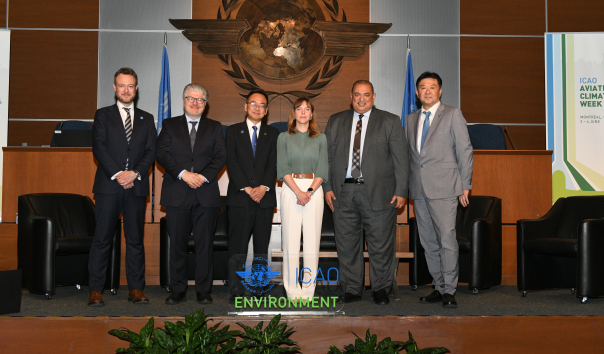 States seek accelerated decarbonization of air transport